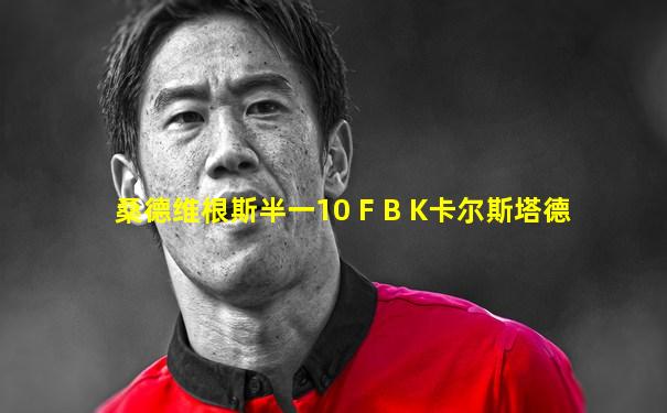 桑德维根斯半一10 F B K卡尔斯塔德